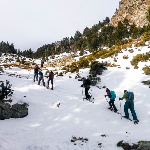 formacio_hivernal_1