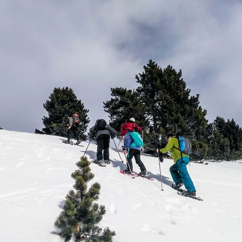 formacio_hivernal_2