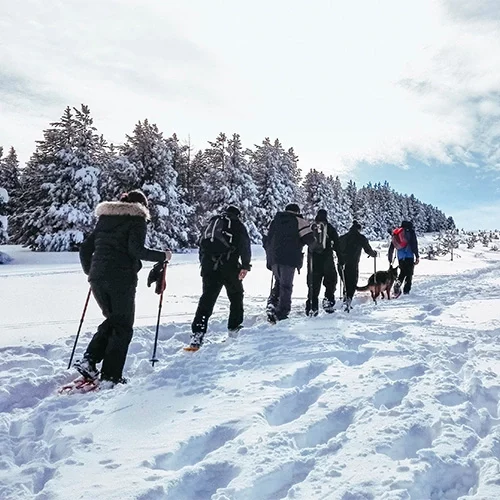 Raquetes de neu amb guia al Pirineu i Prepirineu de Catalunya
